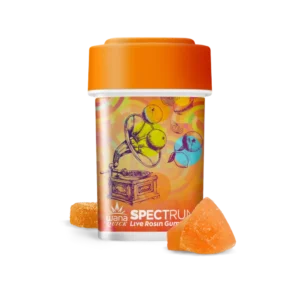 Buy Citrus Sorbet Online