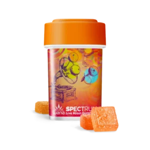 Citrus Sorbet Gummies for sale