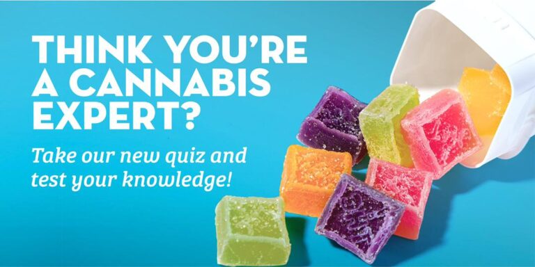 Wana Gummies Review