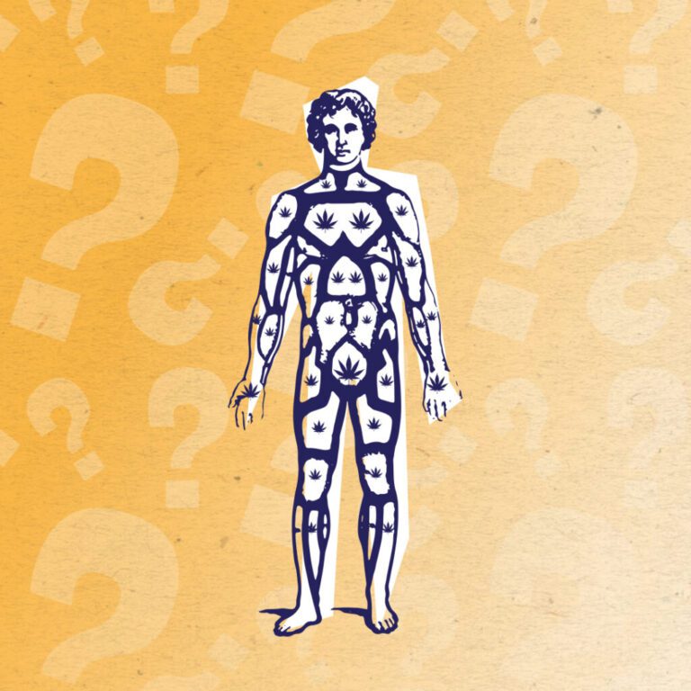 Wana Gummies Original Flavor